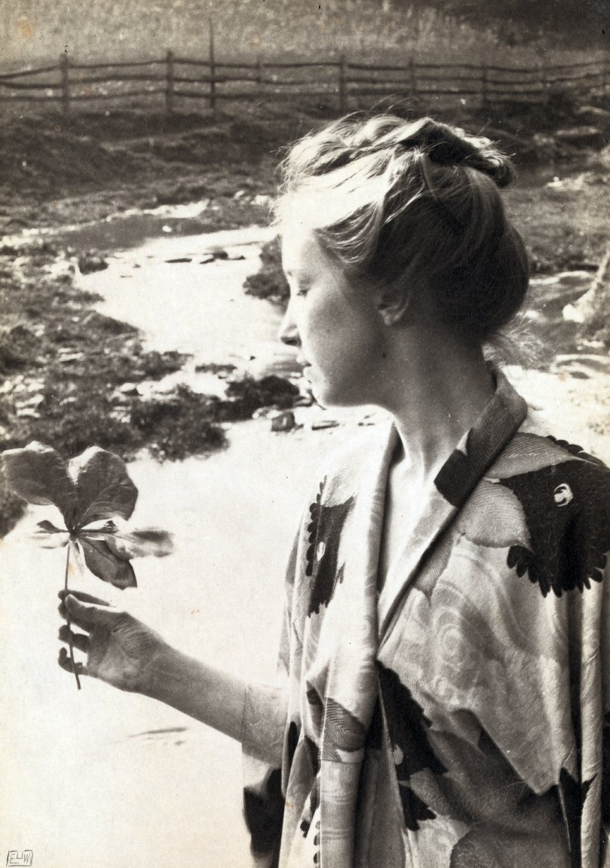La Foglia di Podofillo da Eva Lawrence Watson Schutze