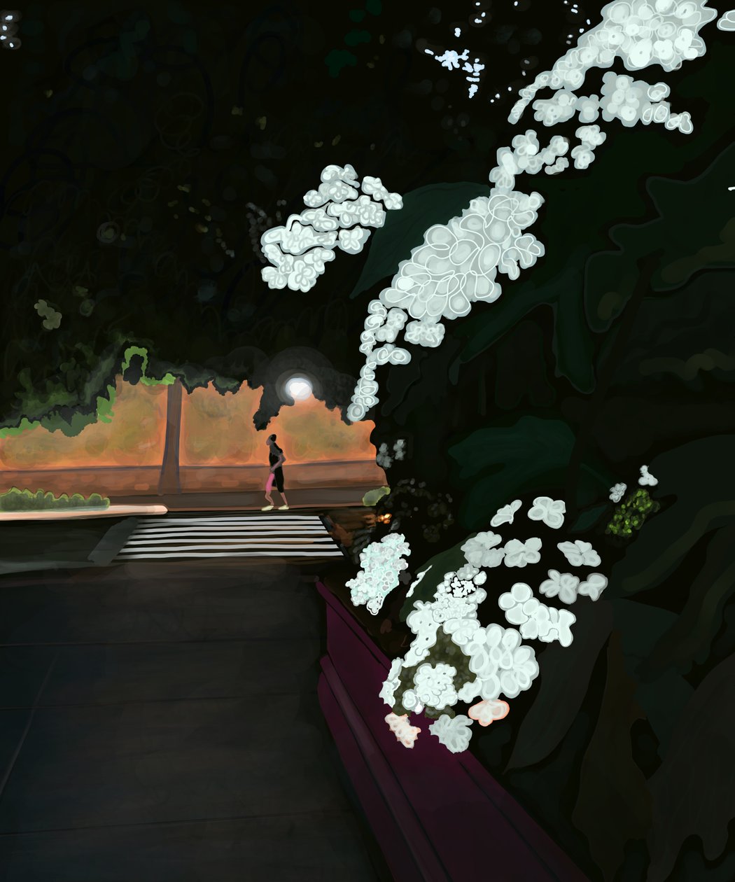 6 del mattino. Mattinata piovosa e jogging. Prospect Park West (arte digitale) da Evan Sklar
