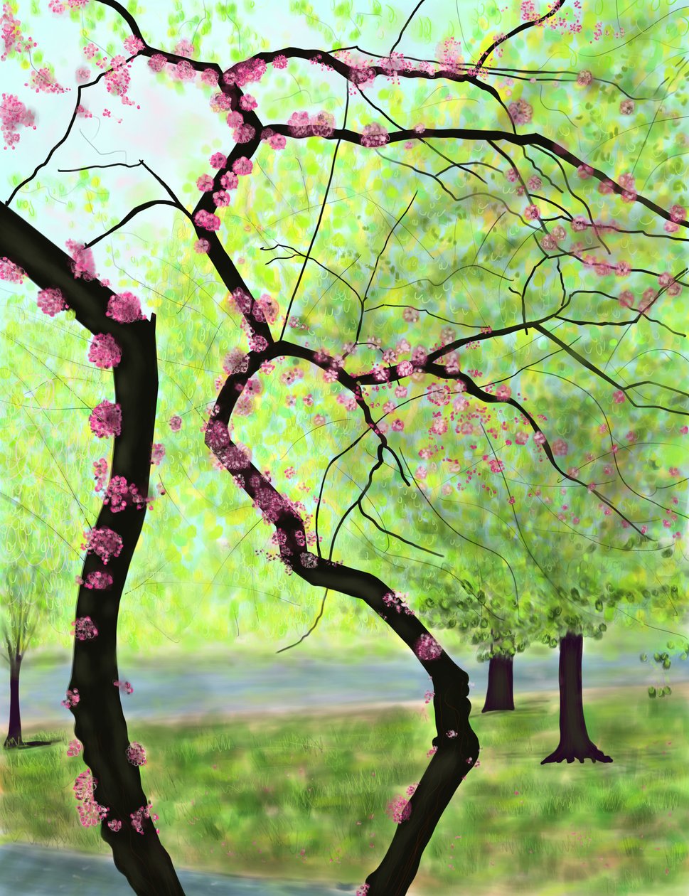 Albero in fiore, Brooklyn (arte digitale) da Evan Sklar