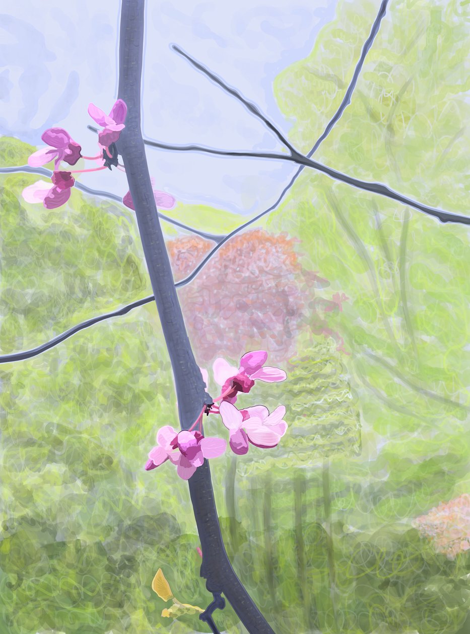 Ramo e fiore (arte digitale) da Evan Sklar