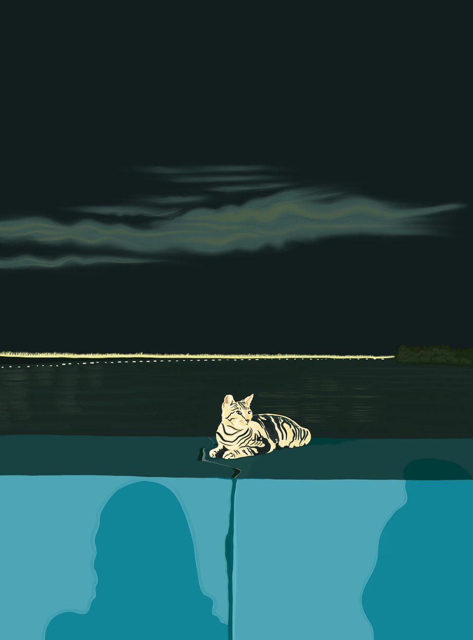 Gatto sul muro, Panama City, 2020-24 circa (arte digitale) da Evan Sklar