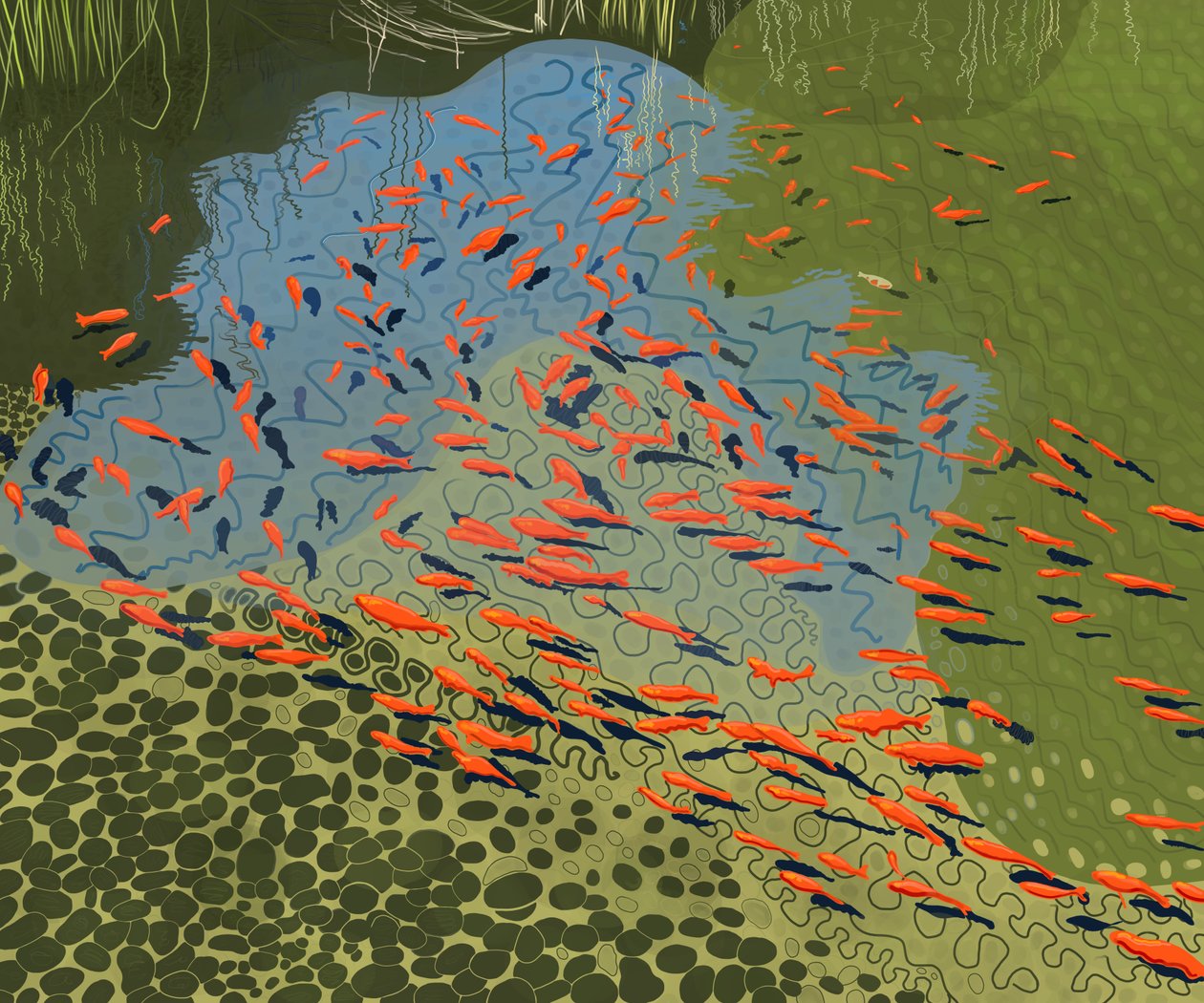 Laghetto di coy al giardino botanico (arte digitale) da Evan Sklar