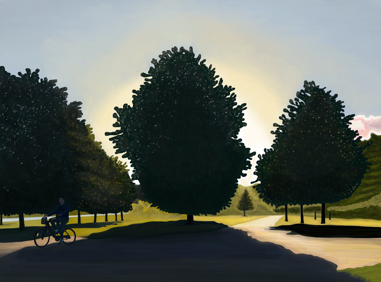 Ciclista, alba, Hyde Park (arte digitale) da Evan Sklar