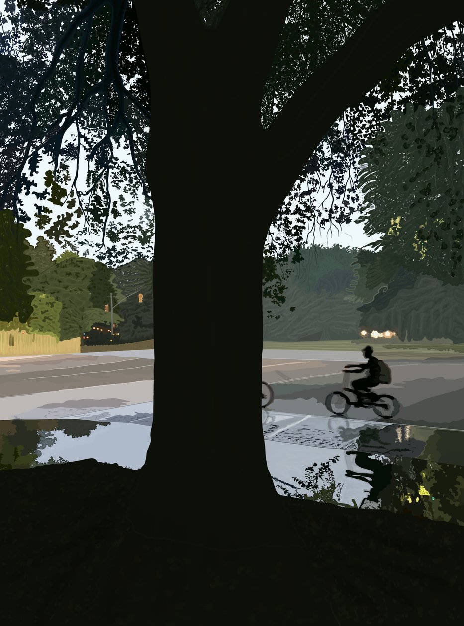 Ciclista e pozzanghera su Brooklyn Street (arte digitale) da Evan Sklar
