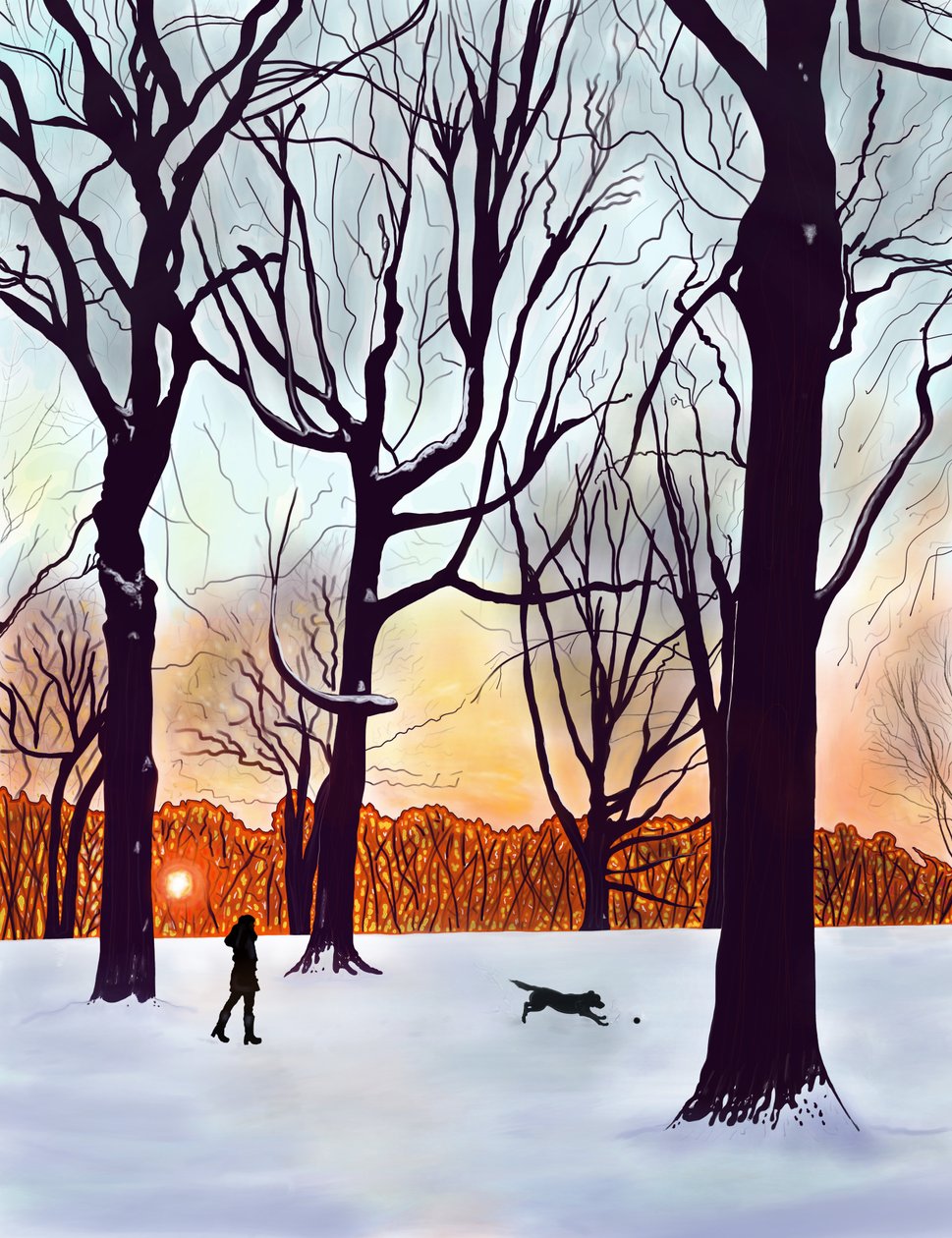 Cane nella neve, Brooklyn (arte digitale) da Evan Sklar
