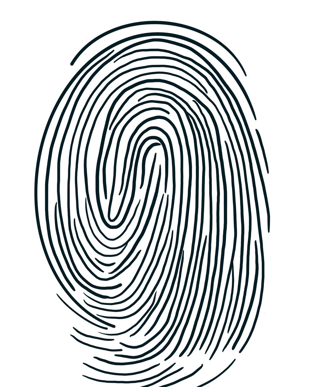 Disegno di un