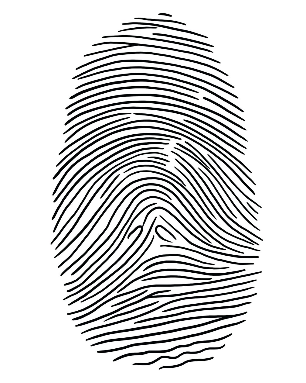 Disegno di un