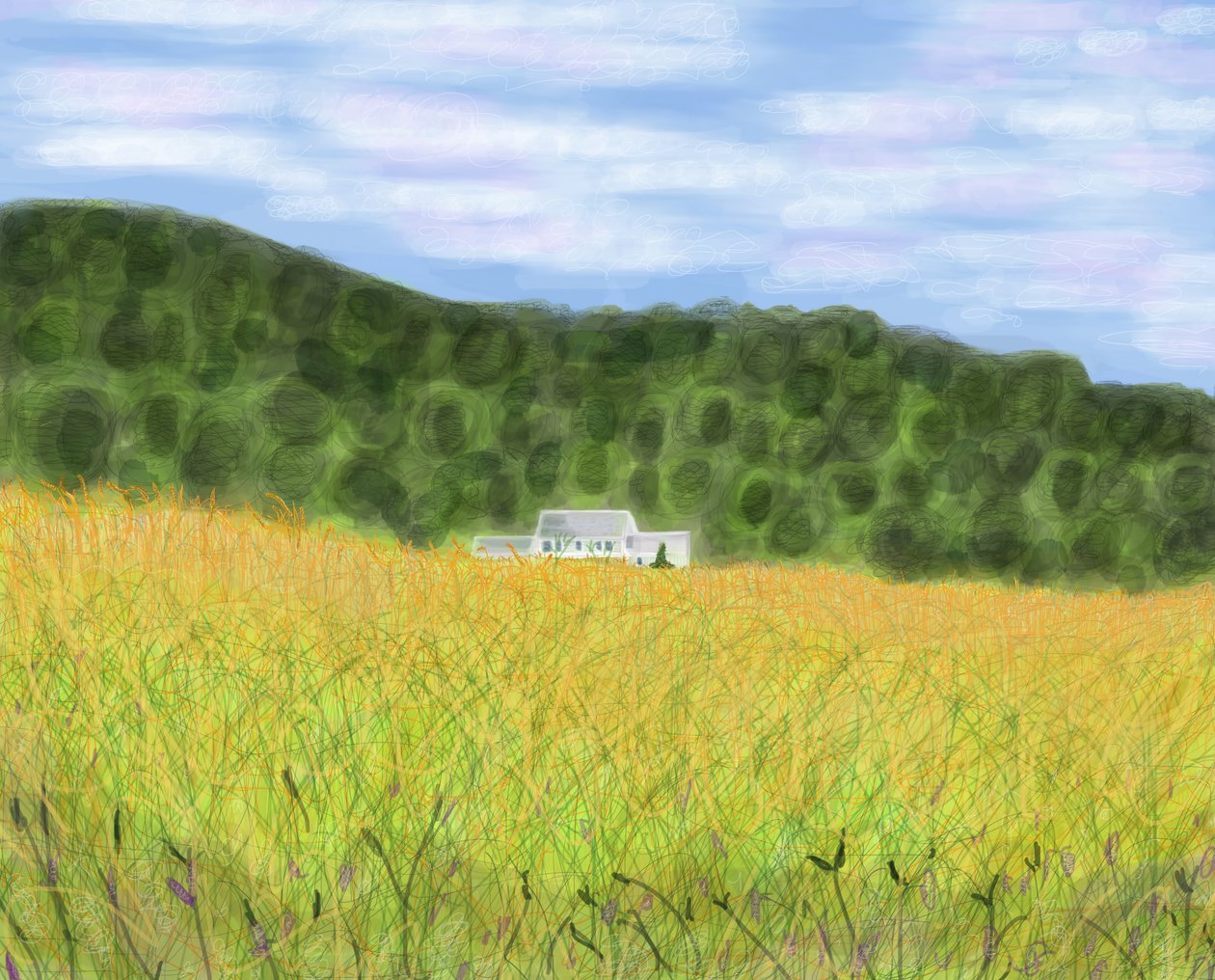 Campo e casa colonica nel Vermont, 2018 (disegnato a mano su un iPad con una matita Apple) da Evan Sklar
