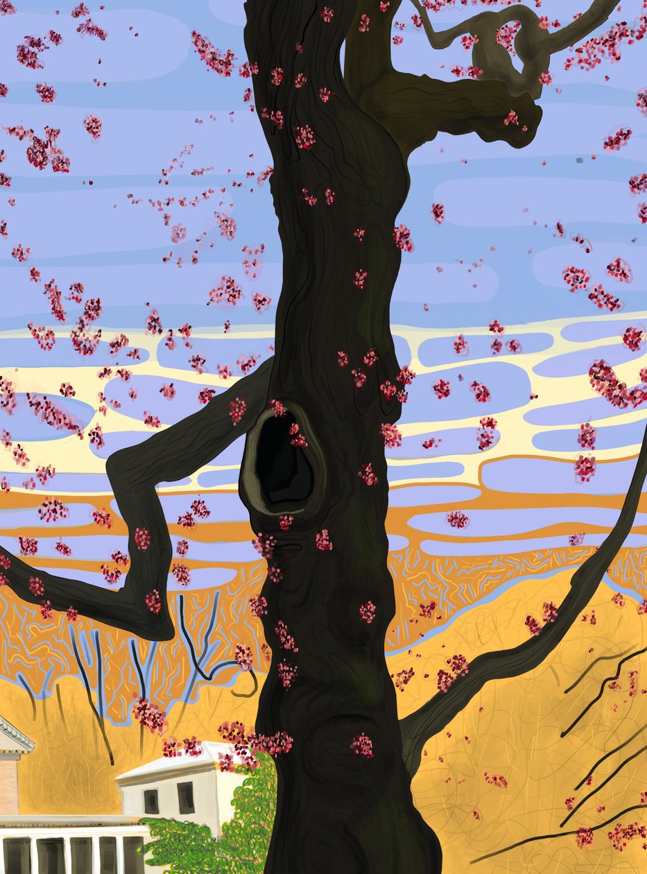 Acero in fiore (arte digitale) da Evan Sklar