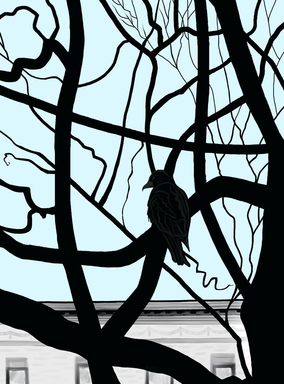 Falco su un ramo in città (arte digitale) da Evan Sklar
