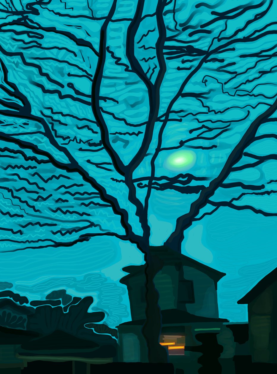 Casa nel Queens di notte (arte digitale) da Evan Sklar