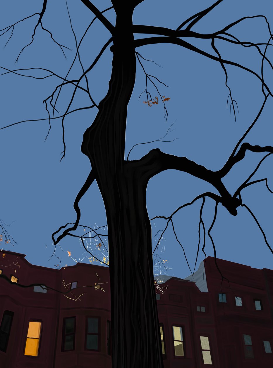 Case e alberi di notte, Brooklyn. (arte digitale) da Evan Sklar