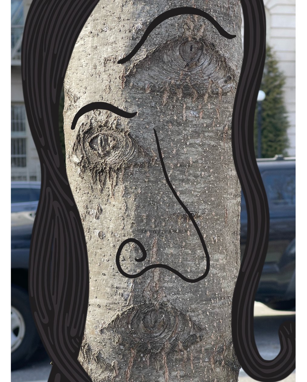 Illustrazione del volto di un albero utilizzando la fotografia e il disegno di Brooklyn (arte digitale) da Evan Sklar