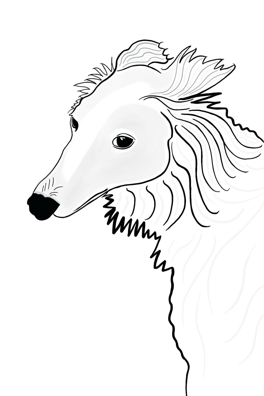 Disegno lineare di Silken Windhound (arte digitale) da Evan Sklar