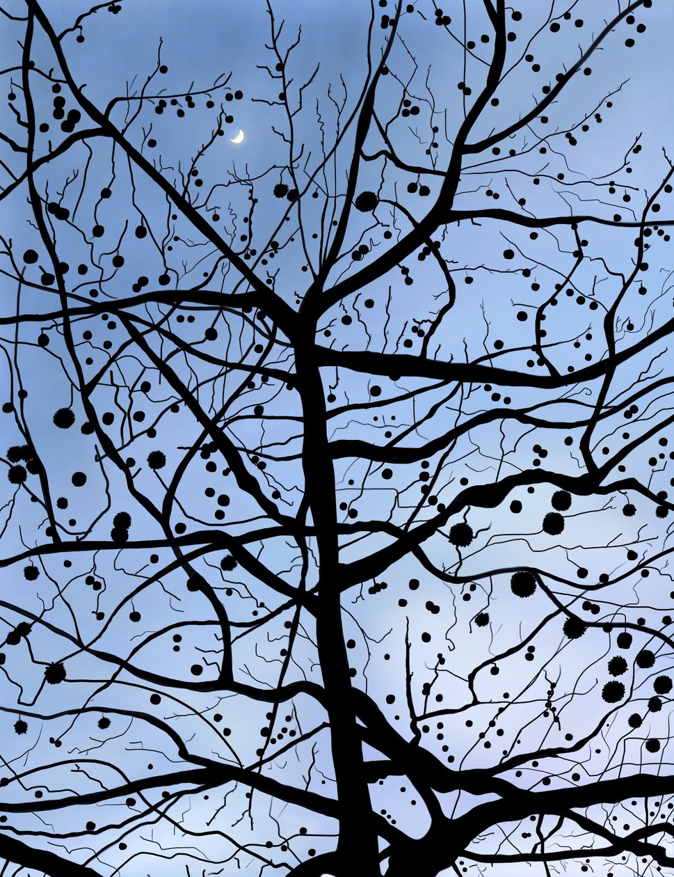 PlaneTree e Luna di Londra, Brooklyn (arte digitale) da Evan Sklar