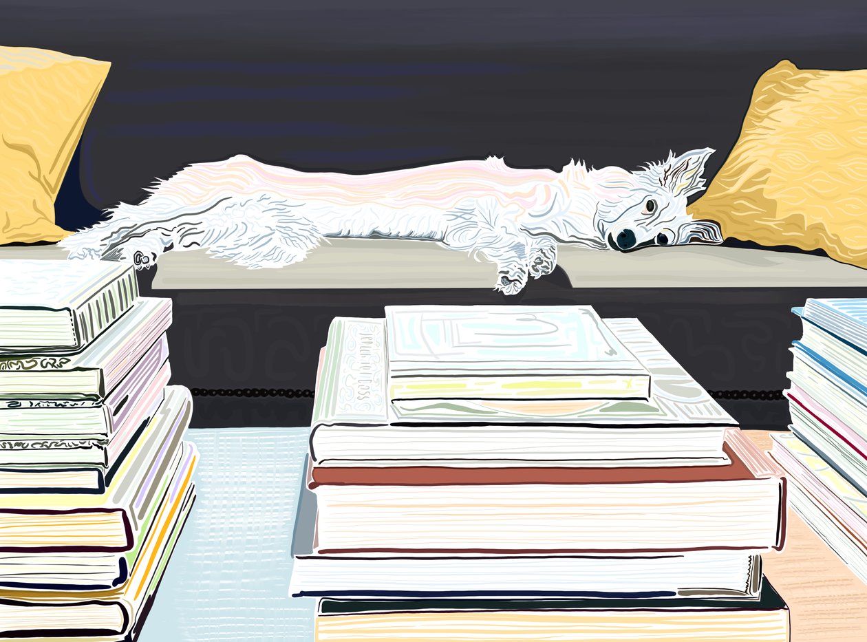 Minnie sul divano con i libri, 2020-24 circa (arte digitale) da Evan Sklar