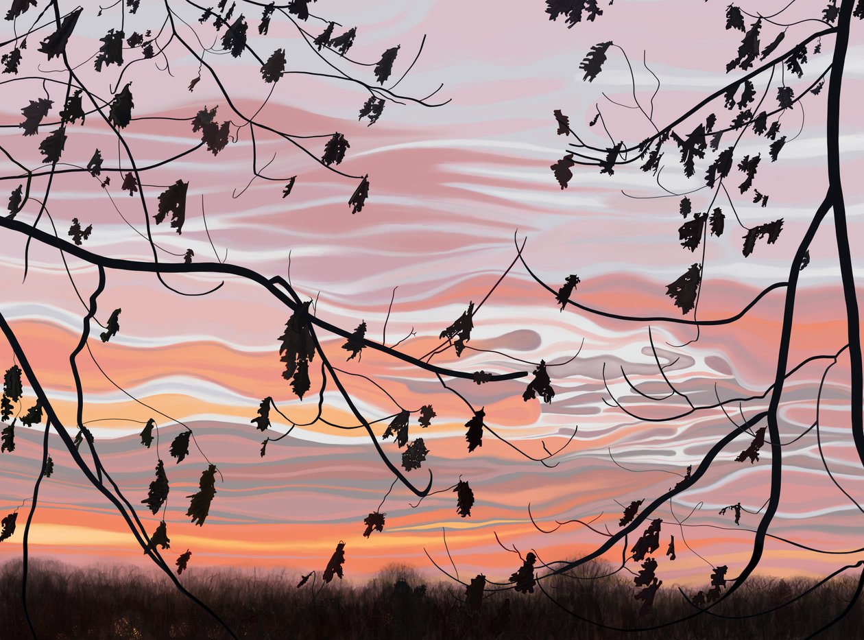 Foglie di quercia e cielo, Brooklyn (arte digitale) da Evan Sklar