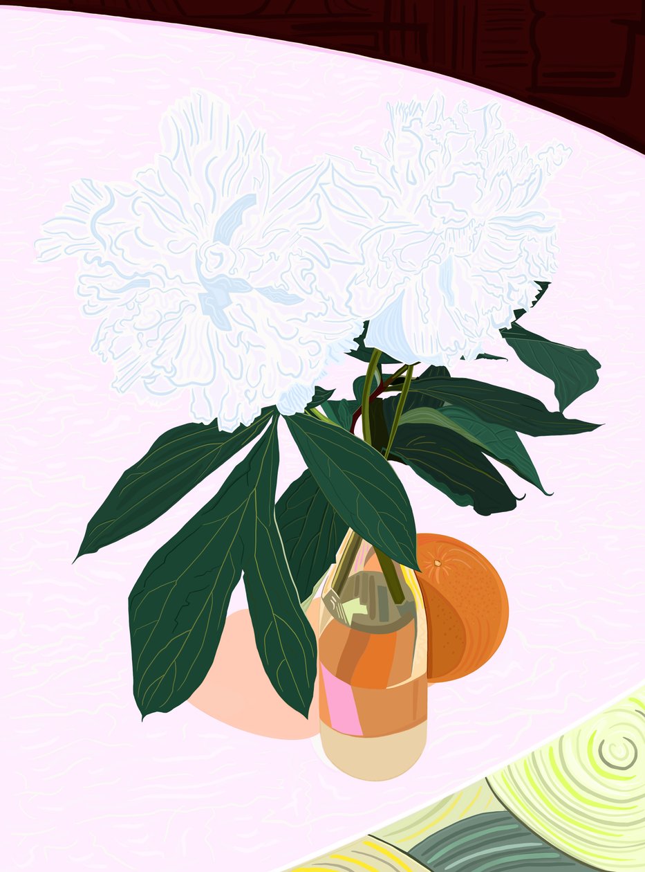 Peonia e pompelmo, 2020-24 circa (arte digitale) da Evan Sklar