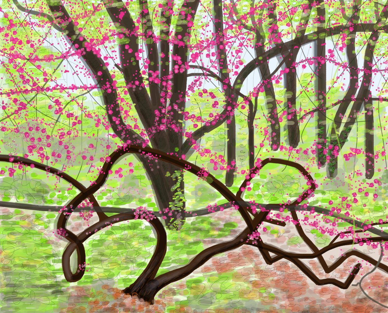 Prospect Park, primavera, 2017 (disegnato a mano su un iPad con una matita Apple) da Evan Sklar