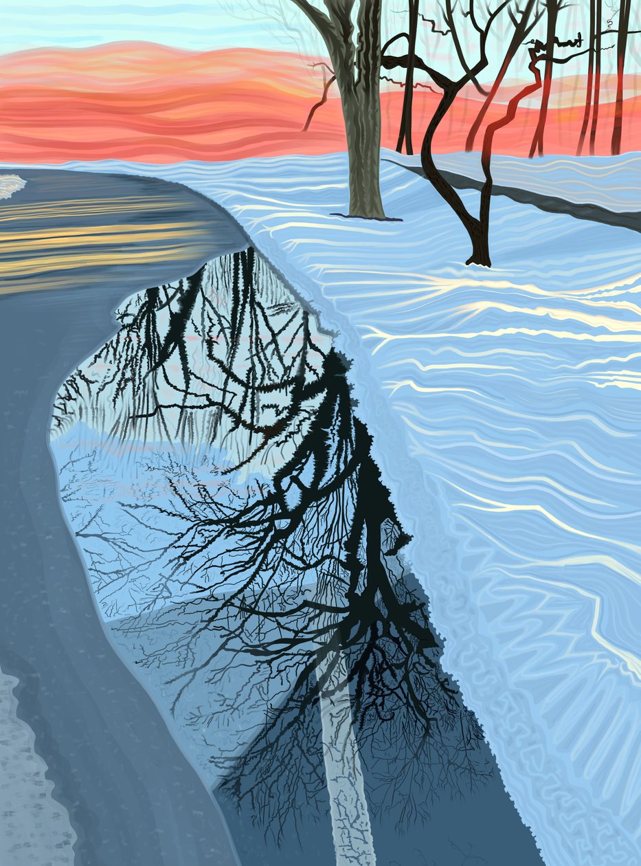 Pozzanghera e neve nel parco, Brooklyn (arte digitale) da Evan Sklar