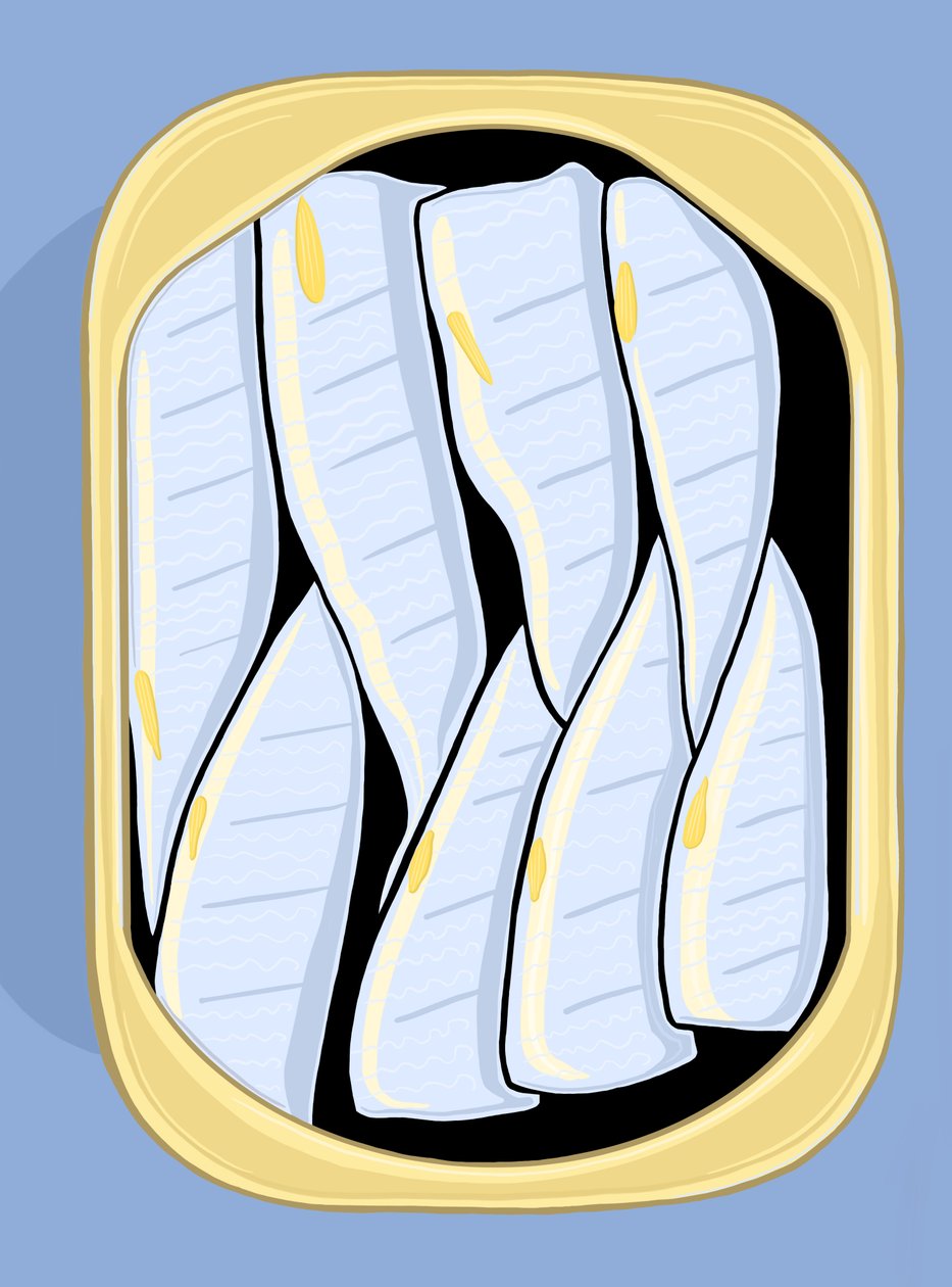 Sarde, c.2020-24 (arte digitale) da Evan Sklar