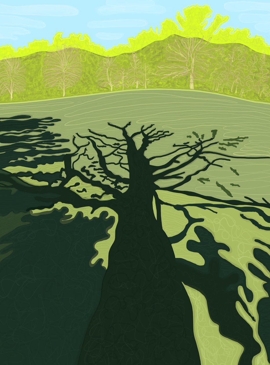 Ombra di albero sul campo, Brooklyn (arte digitale) da Evan Sklar