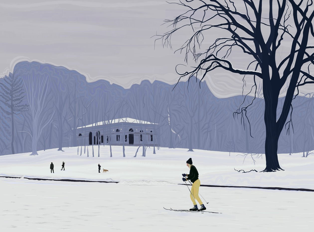 Sciatore, Prospect Park , Brooklyn (arte digitale) da Evan Sklar