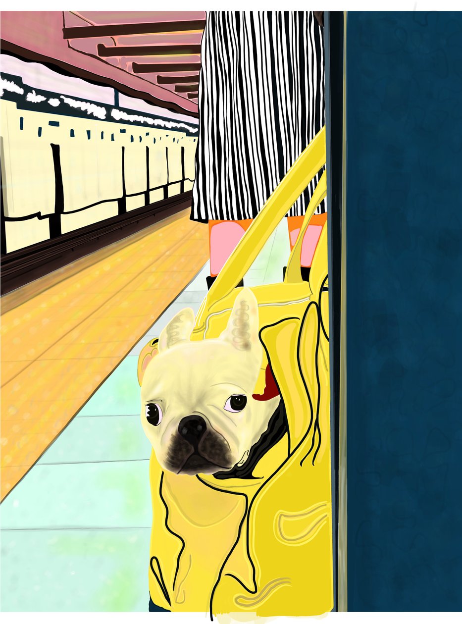 Pendolare della metropolitana con cane nella borsa, Brooklyn (arte digitale) da Evan Sklar