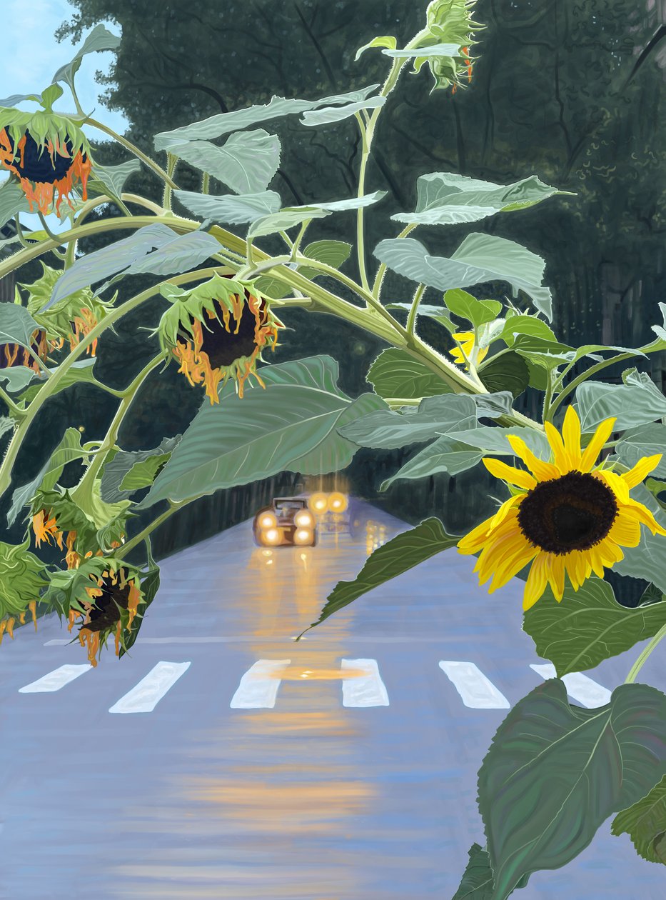 Girasoli e auto su una strada alberata all