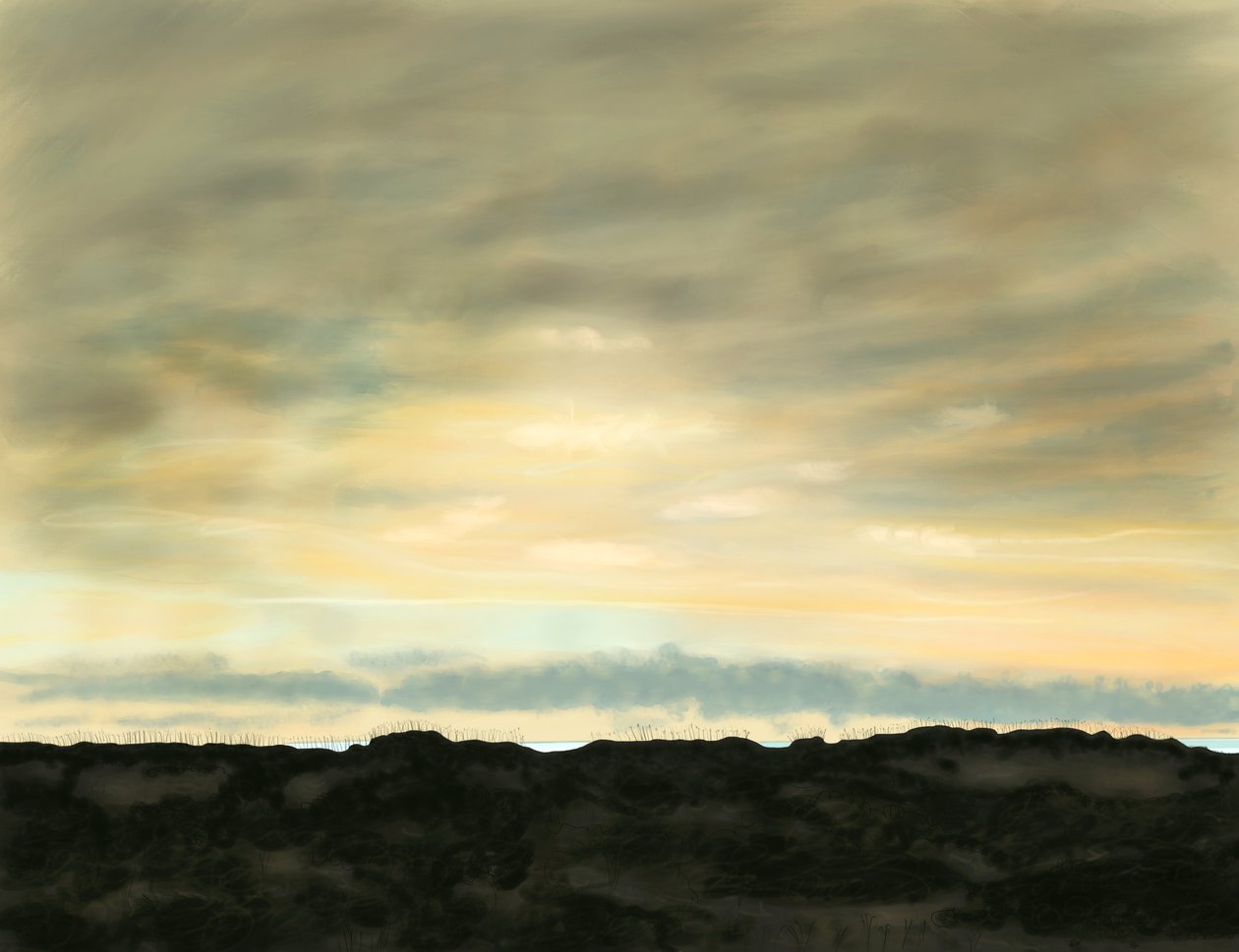 Spiaggia dei cigni, dune e cielo da Evan Sklar