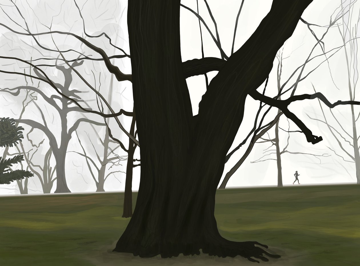 Albero e jogger. Mattina presto. Prospect park (arte digitale) da Evan Sklar