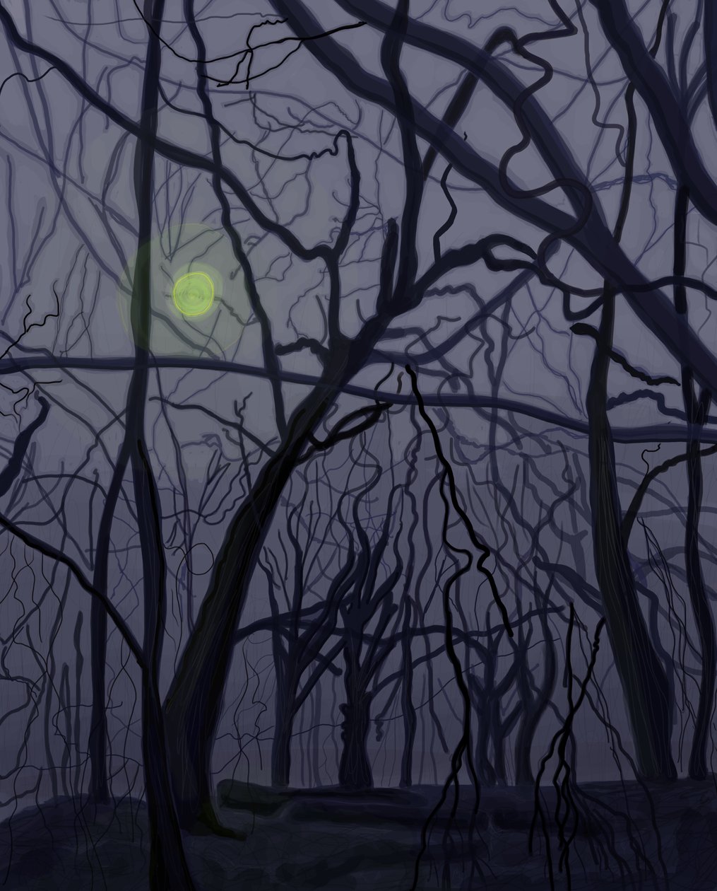 Alberi (arte digitale) da Evan Sklar