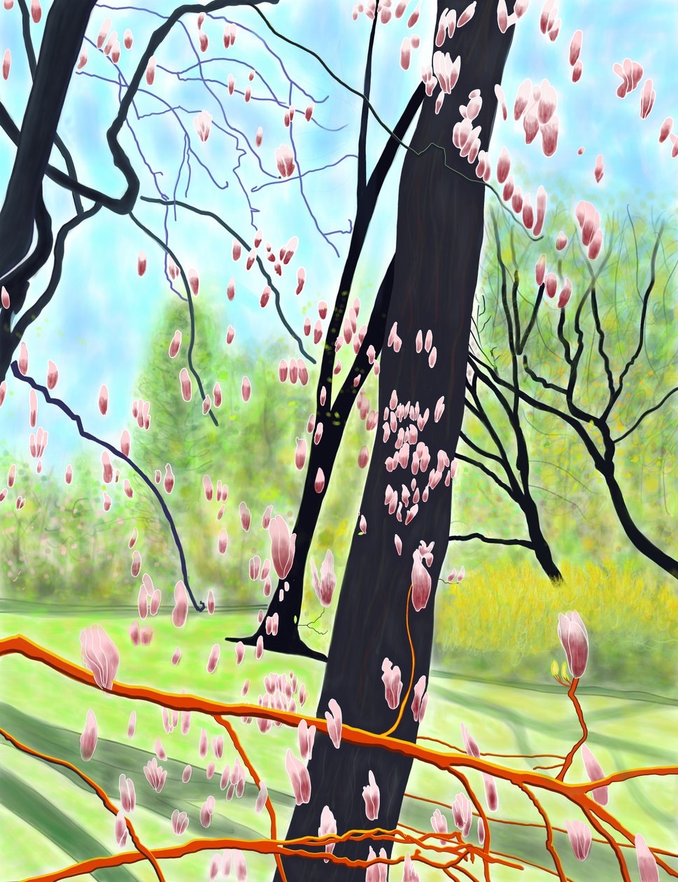 Albero dei tulipani da Evan Sklar