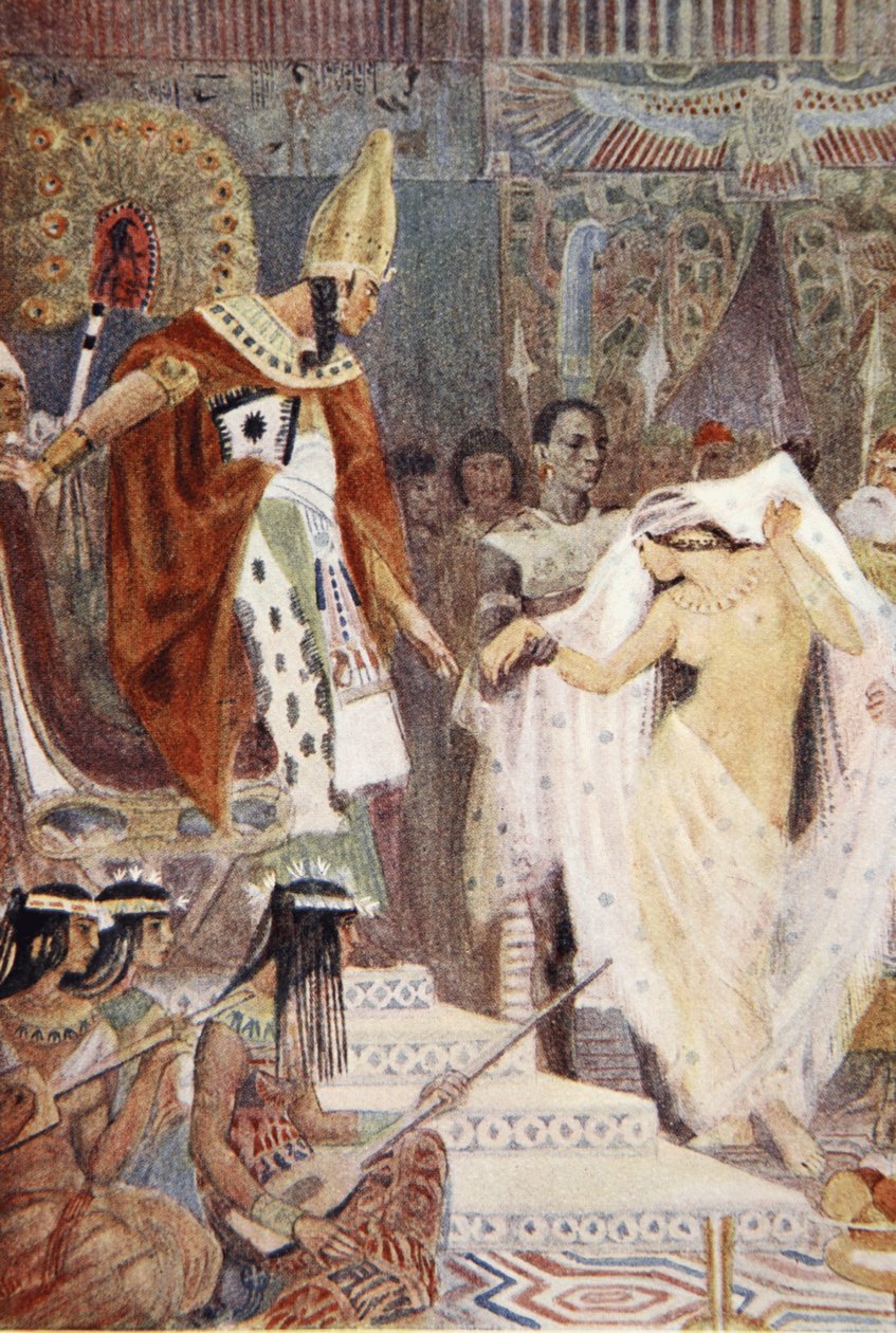 Illustrazione da 