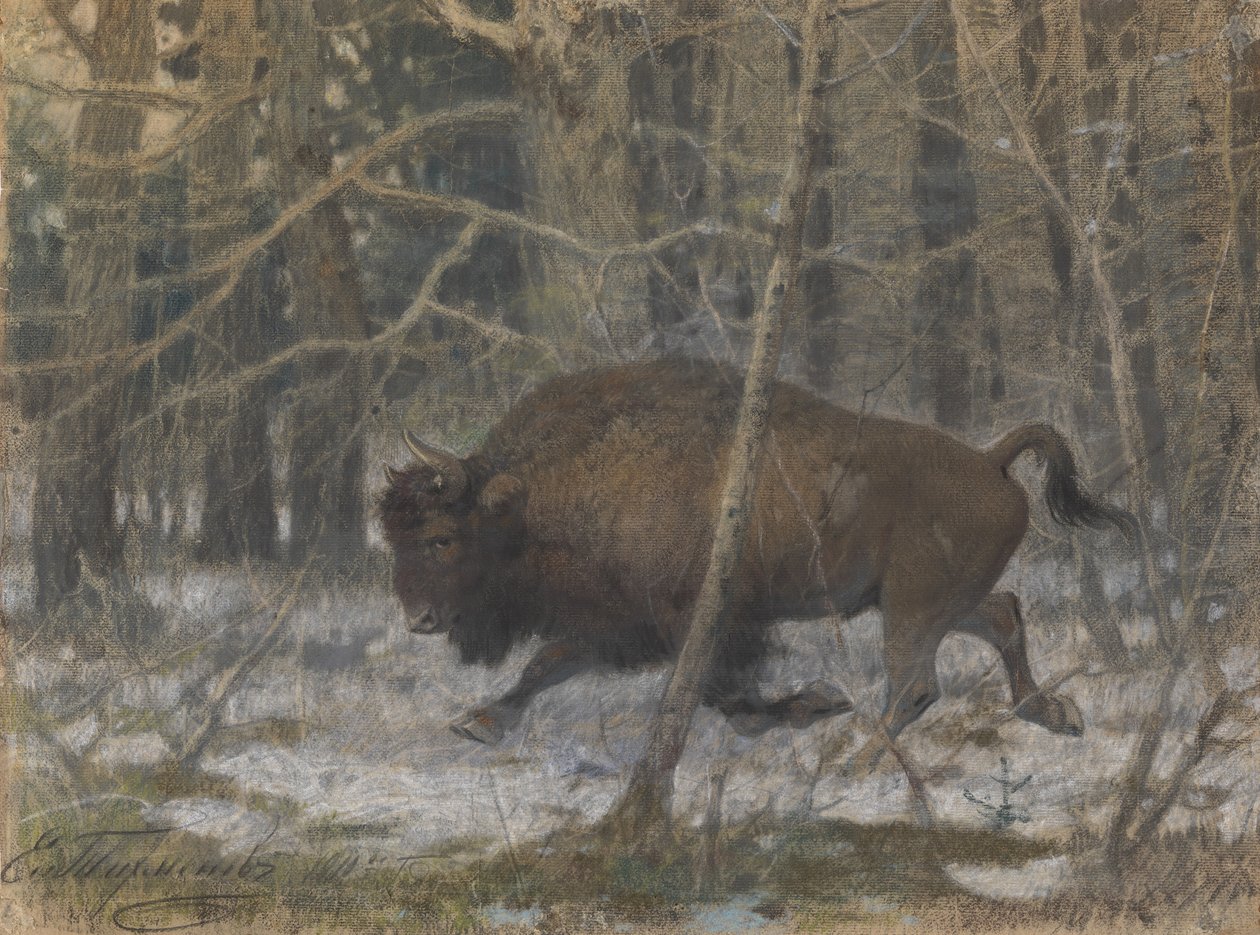 Il bisonte dei boschi da Evgeny Alexandrovich Tichmenev