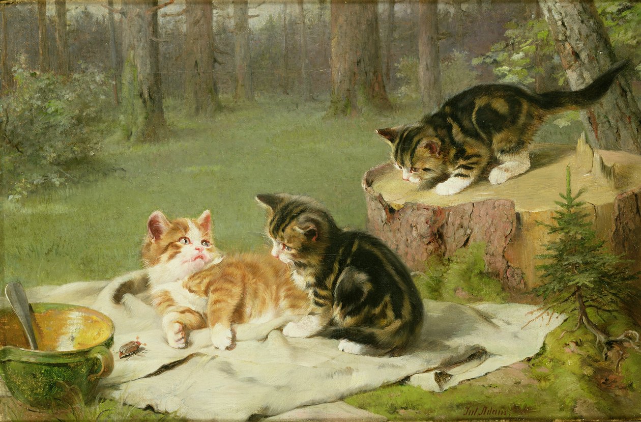 Gattini che giocano da Ewald Honnef