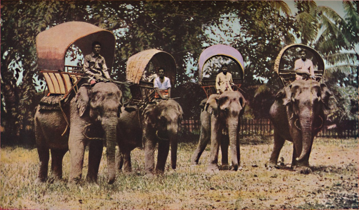 Siam, anni 