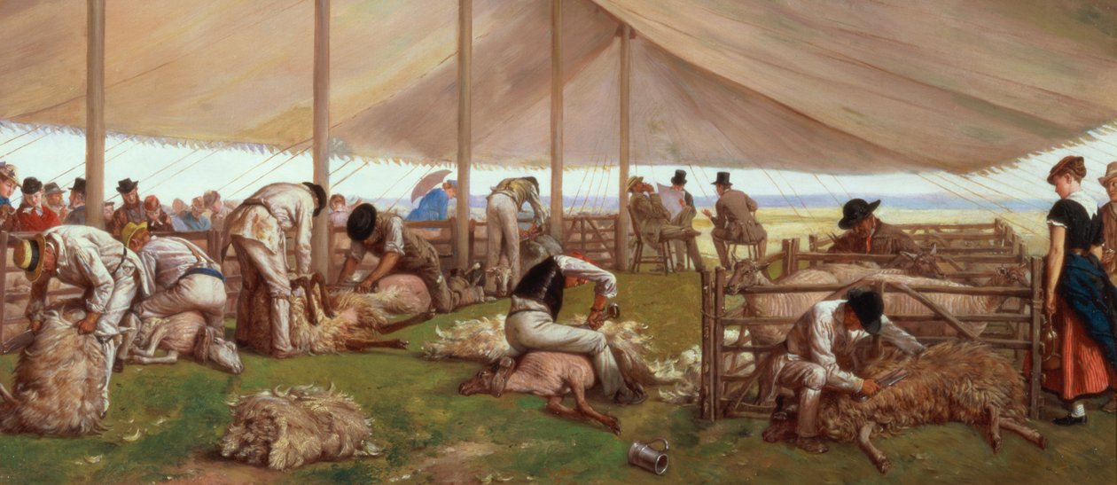 La gara di tosatura delle pecore, 1875 da Eyre Crowe
