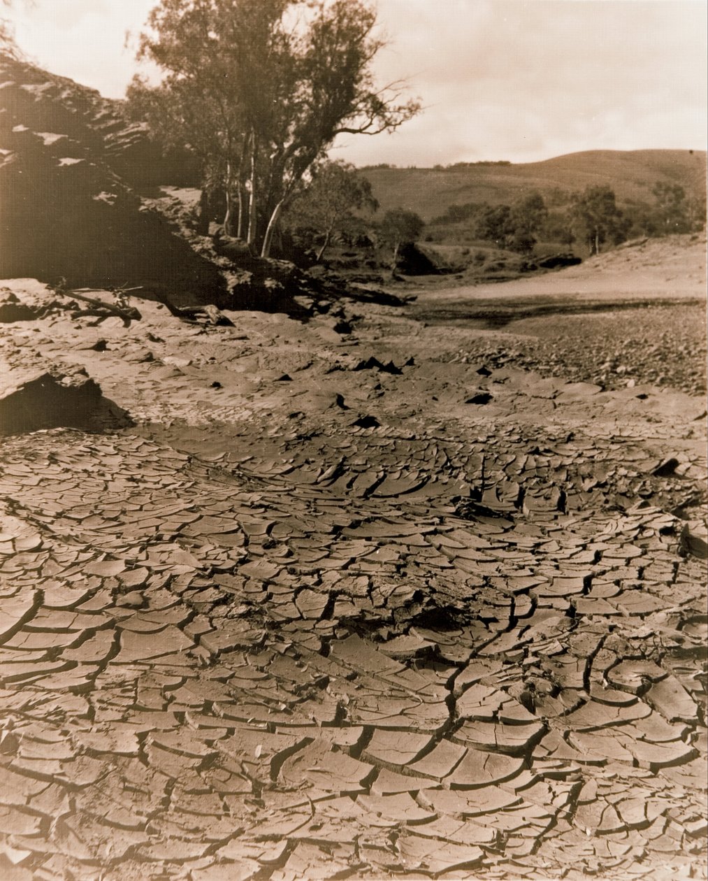 La piscina scomparsa, Flinders Ranges da F. A. Joyner