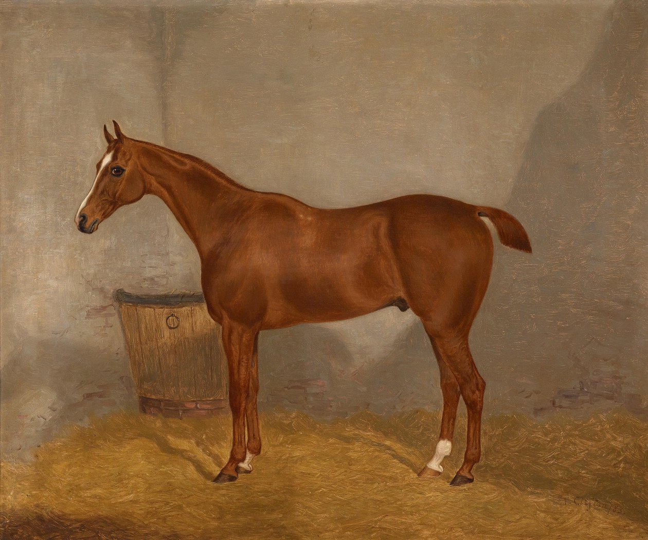 Ritratto di cavallo (Fireland o Cocktail, uno dei due dipinti offerti in un lotto con queste denominazioni) da F. Clifton
