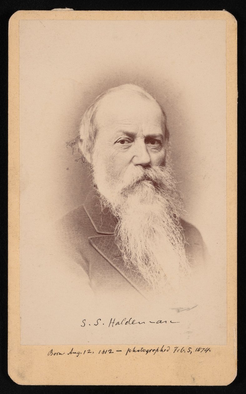 Ritratto di Samuel Stehman Haldeman 1812-1880, 5 febbraio 1874 da FA Wenderoth and Co