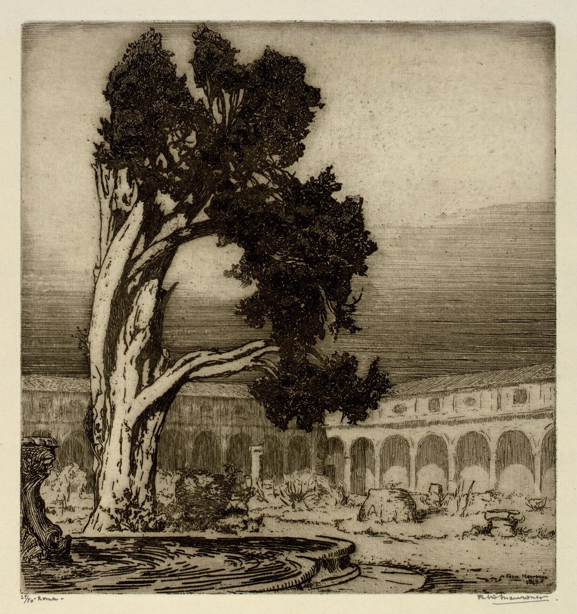 Il Cipresso di Michelangelo, Roma da Fabio Mauroner