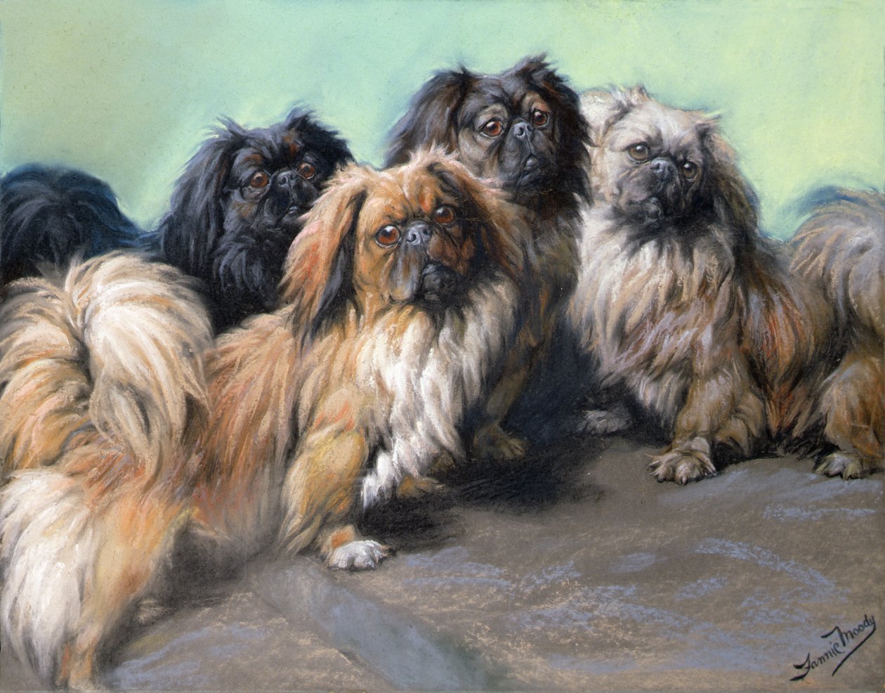 Cocchi viziati da Fannie Moody