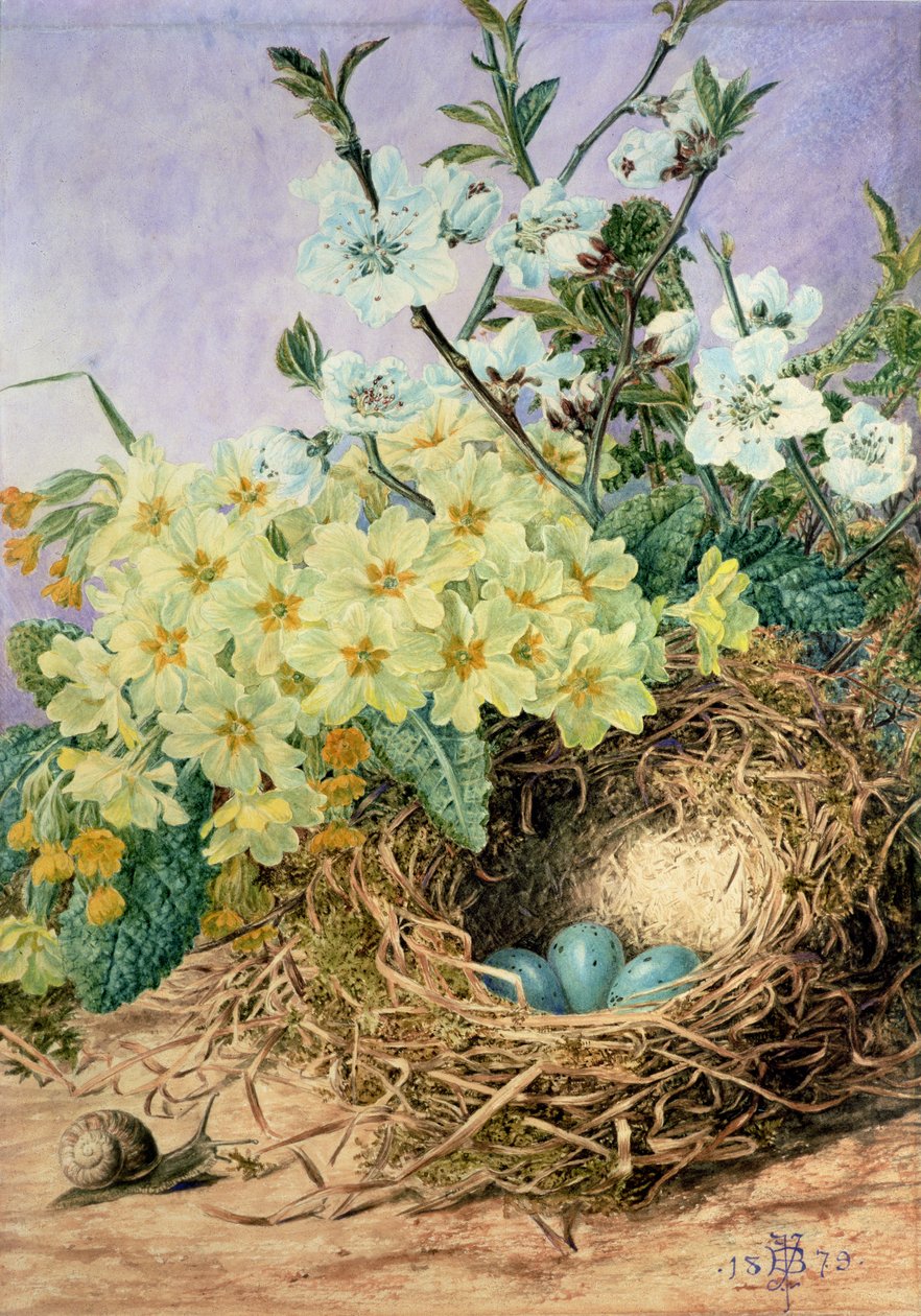 Primavera, 1879 da Fanny Jane Bayfield
