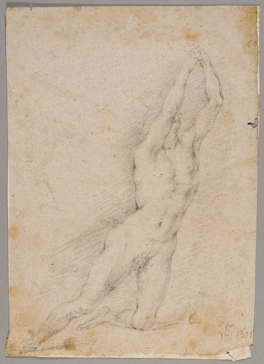 Disegno da Fedele Fischetti