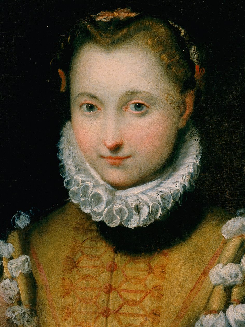 Ritratto di una giovane donna da Federico Fiori Barocci or Baroccio