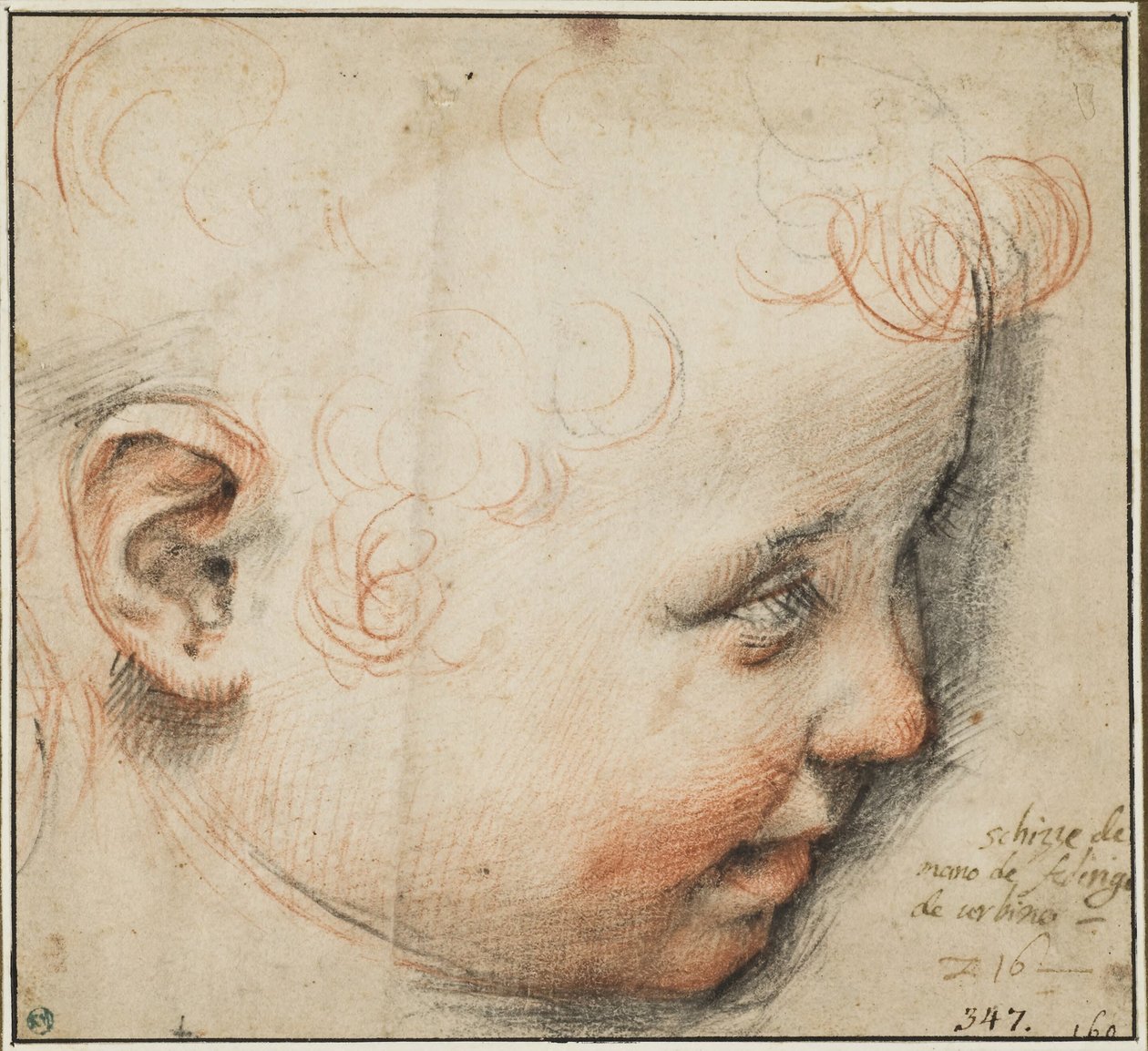 Testa di bambino di profilo; forse per il Bambino Gesù da Federico Barocci