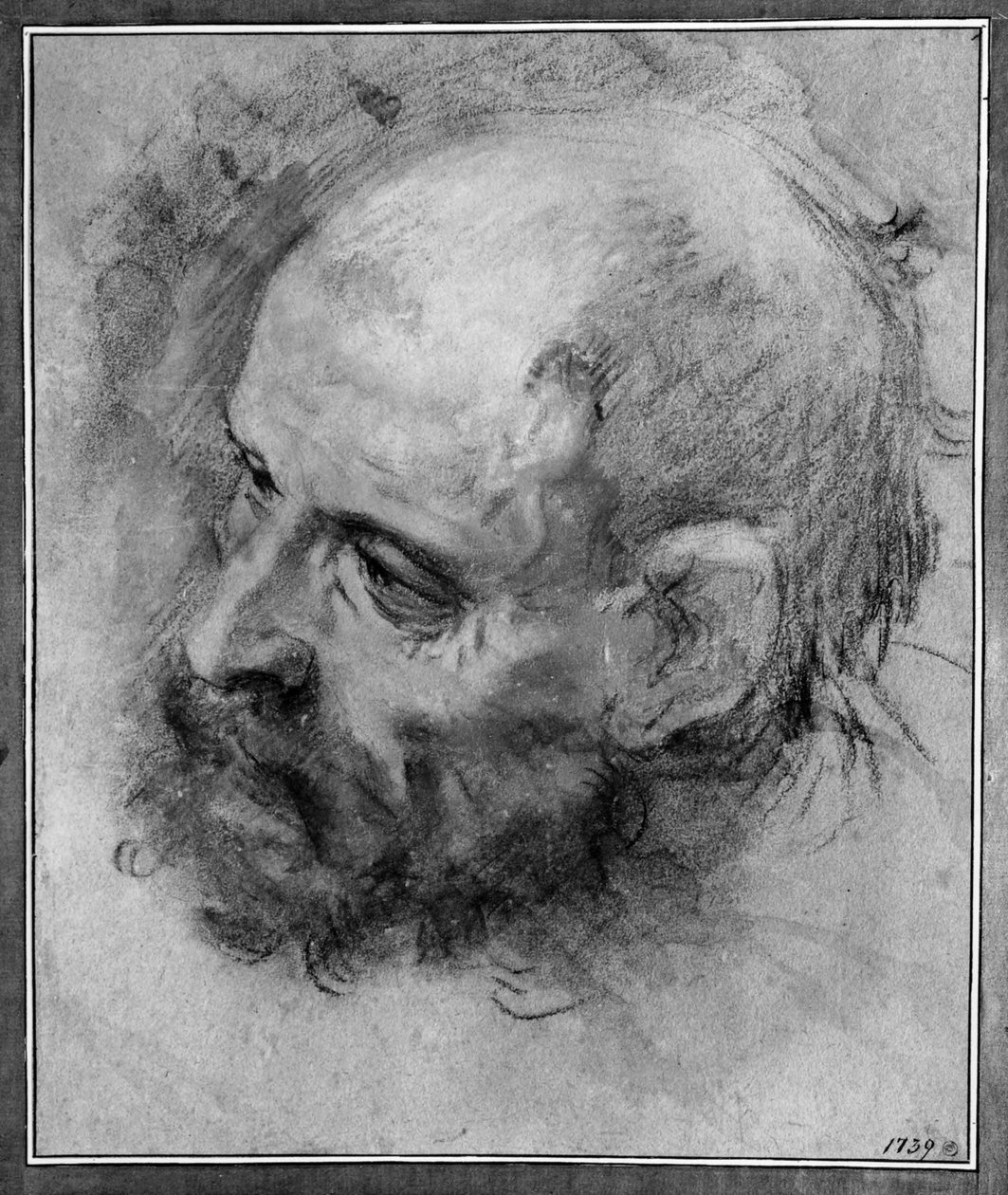 Studio di testa di un uomo barbuto rivolto a sinistra e inclinato di lato da Federico Barocci
