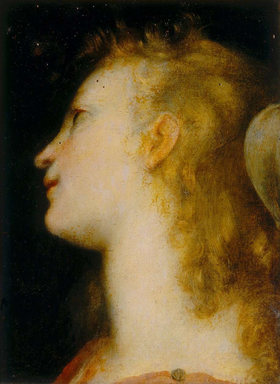 Testa di un angelo da Federico Barocci