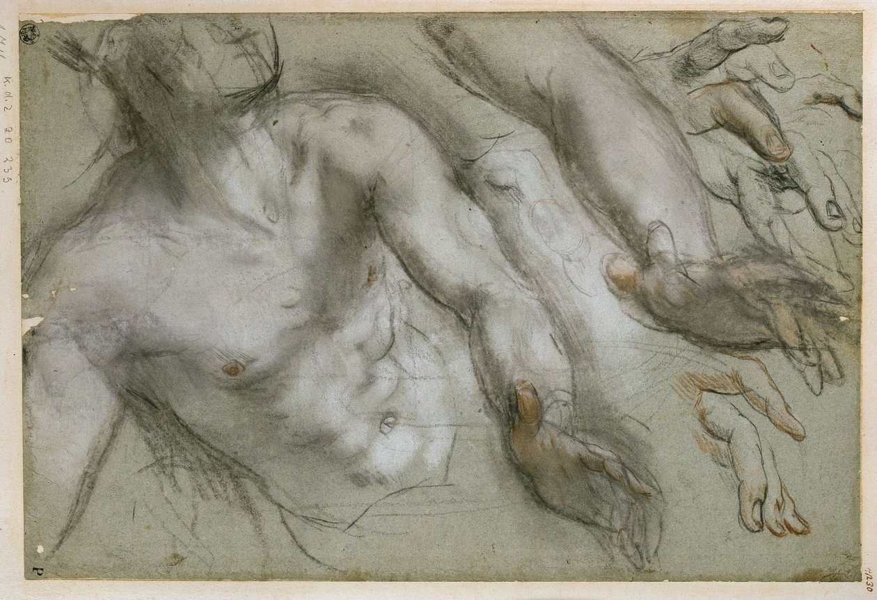 Studio per la figura del santo nel dipinto «Martirio di San Vitale» da Federico Barocci